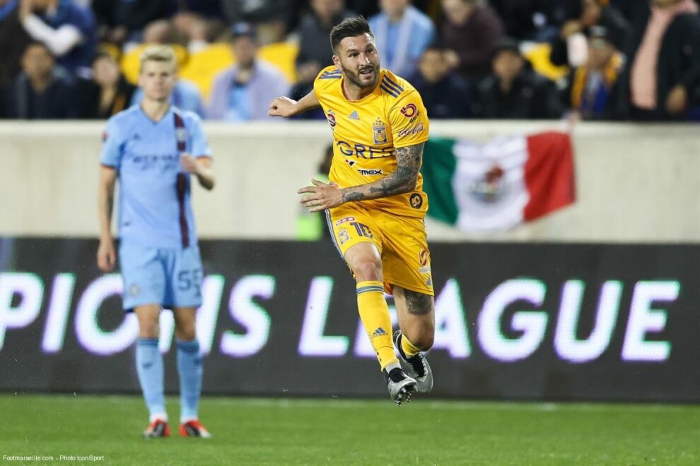 André-Pierre Gignac, Tigres