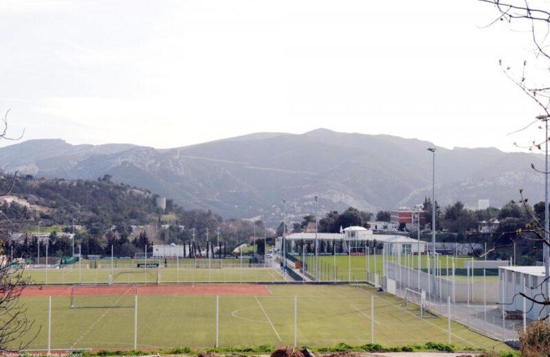 Officiel : les championnats de D2 féminine et de National 2 arrêtés