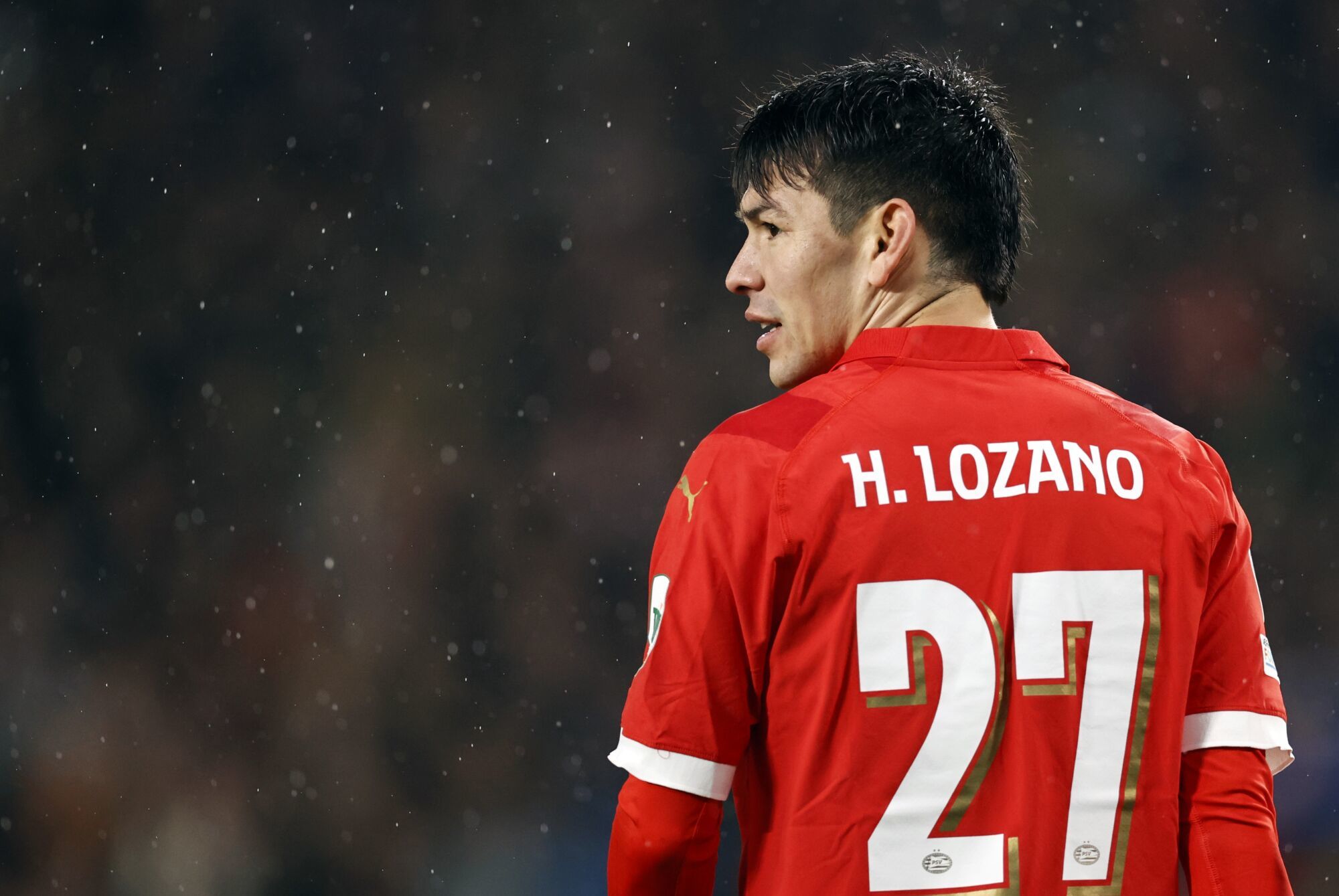 Lozano Top