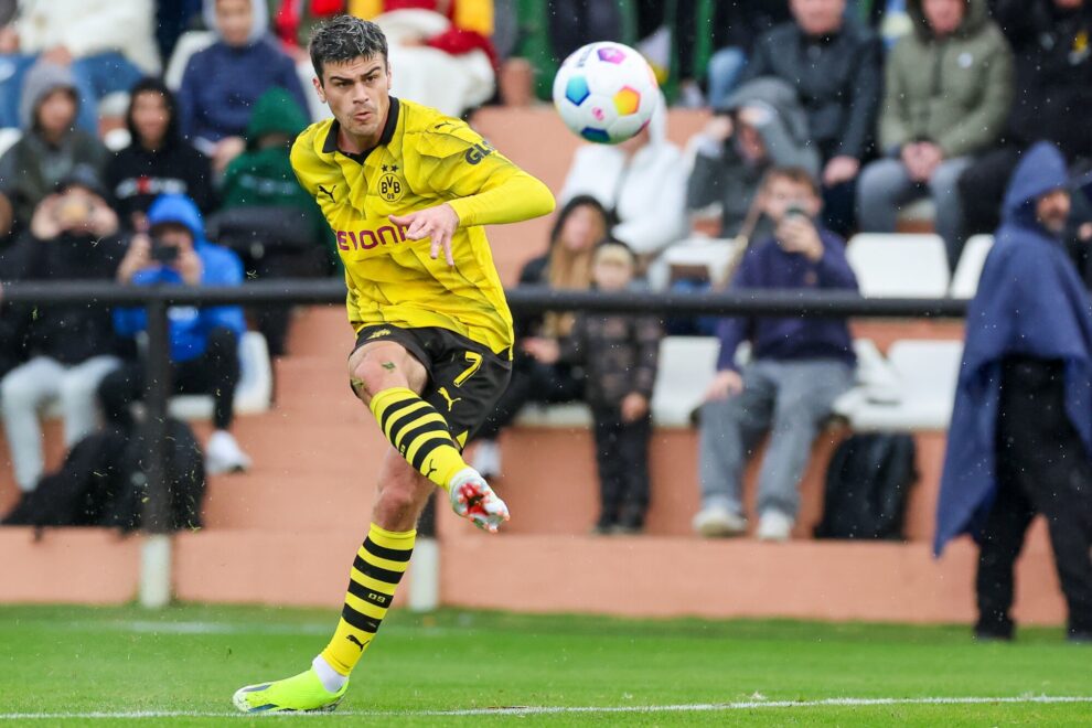 Giovanni Reyna, Borussia Dortmund